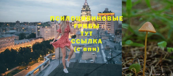 трава Алзамай