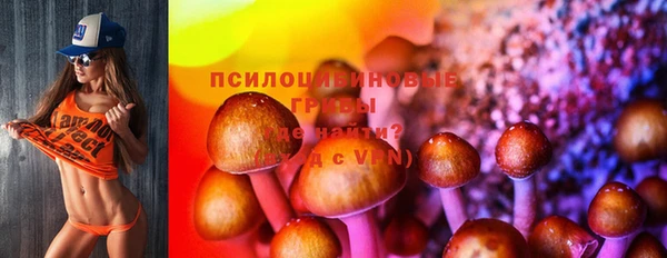 ПСИЛОЦИБИНОВЫЕ ГРИБЫ Алексеевка